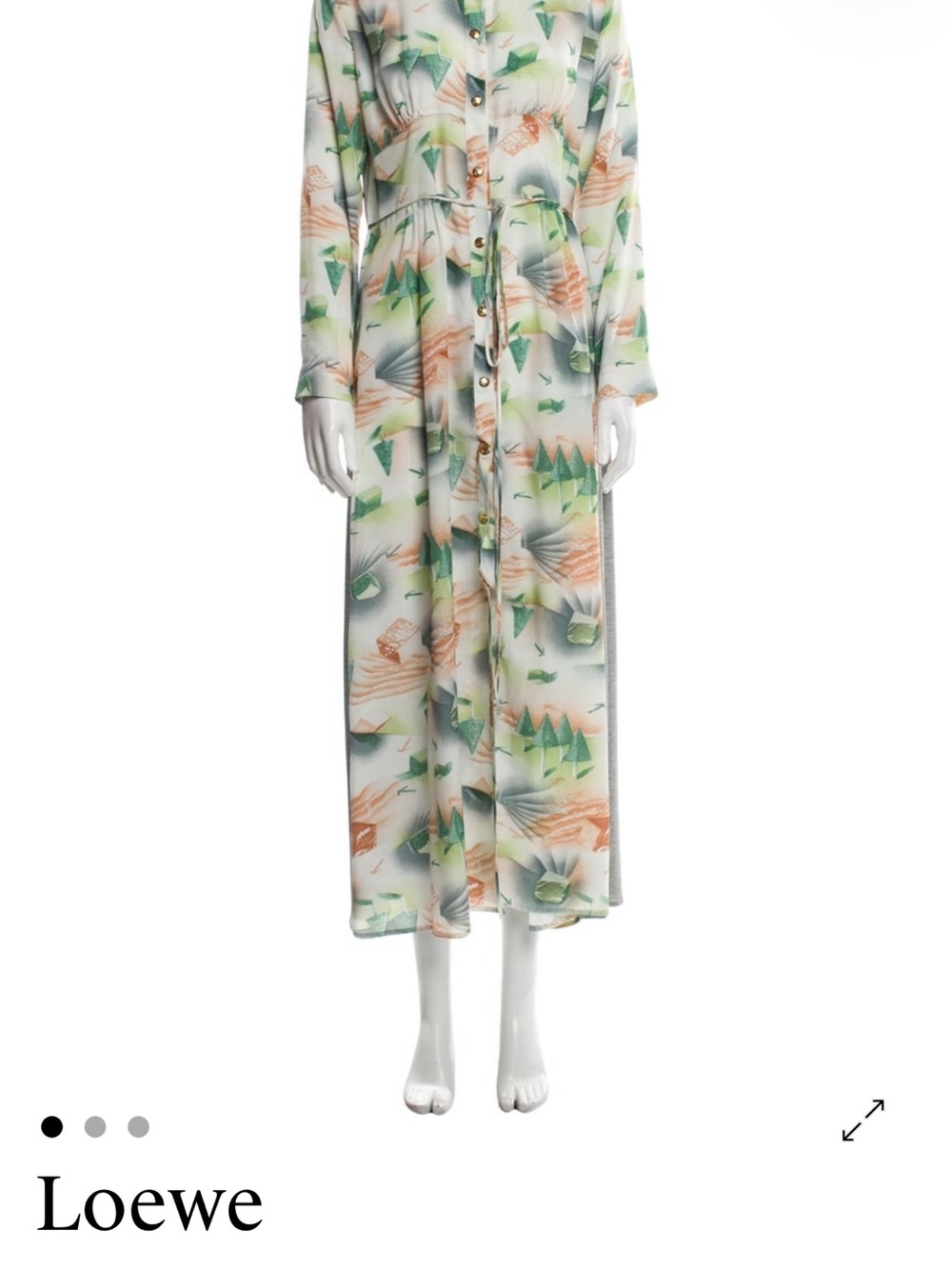 Loewe Printed Button-Front Maxi Dress in Green, Cream and Brown - Picture 8 of 9